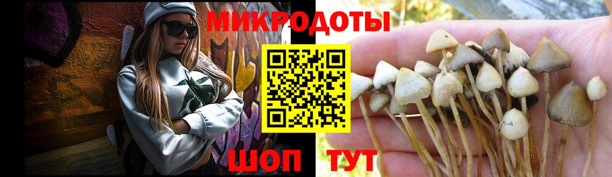 Псилоцибиновые грибы прущие грибы  Вход с VPN  цена   Уссурийск 